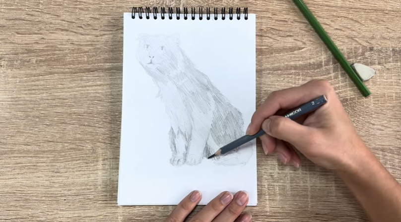 Рисуем Американский кёрл Рисуем Американский кёрл