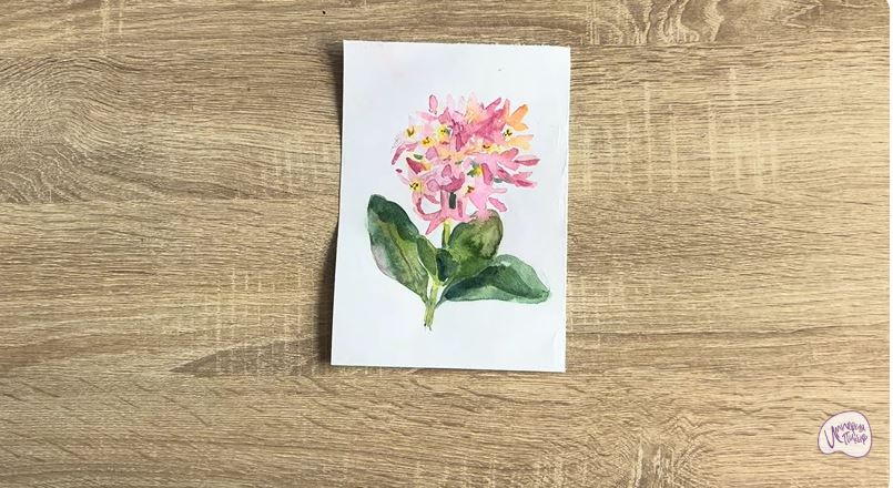 Рисуем Даис Рисуем Даис