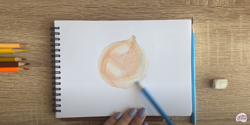 Рисуем Луковица