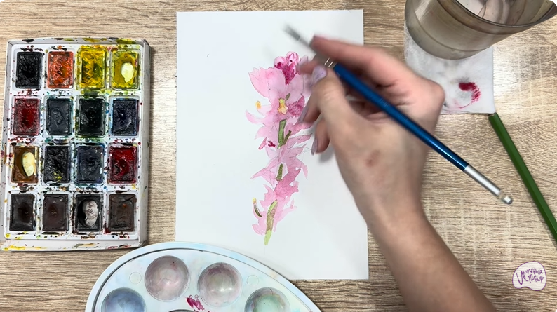 Рисуем Мирикария лисохвостая