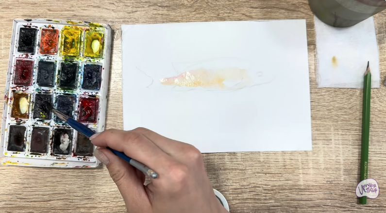 Рисуем Чернокрапчатый ворчун