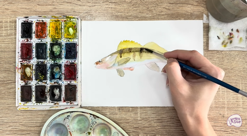 Рисуем Берш