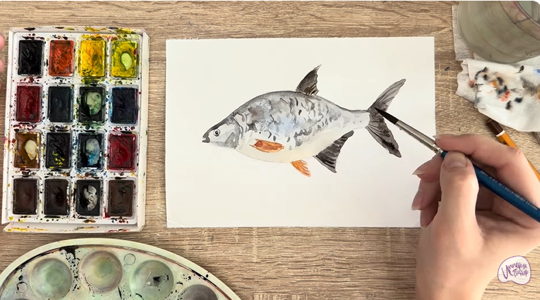 Рисуем Густера