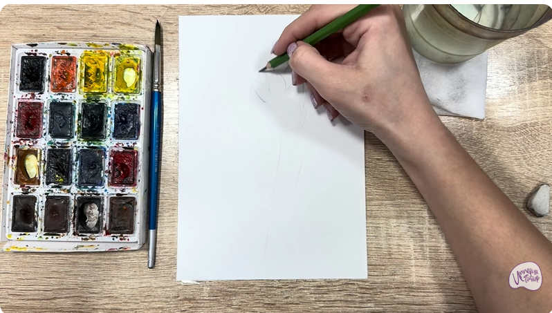 Рисуем Мирикария лисохвостая