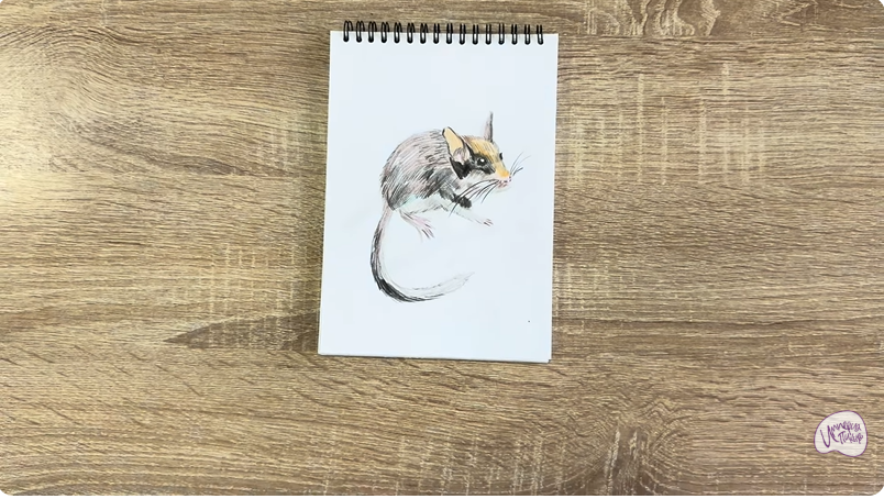 Рисуем Садовая соня