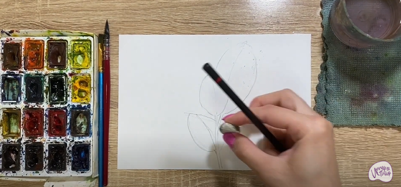 Рисуем Фикус