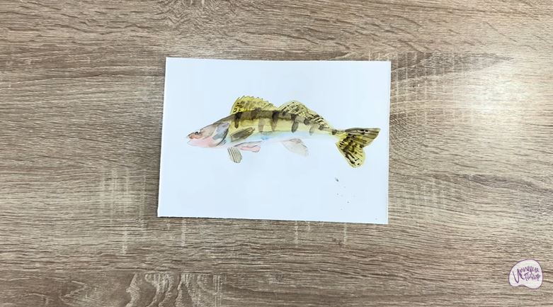 Рисуем Берш