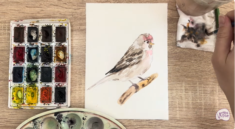 Рисуем Обыкновенная чечётка