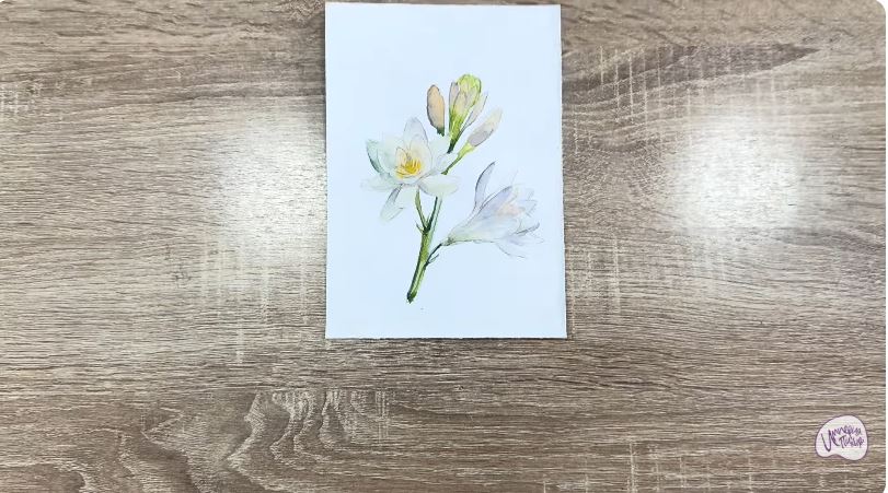 Рисуем Тубероза