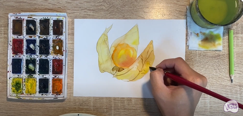 Рисуем Физалис