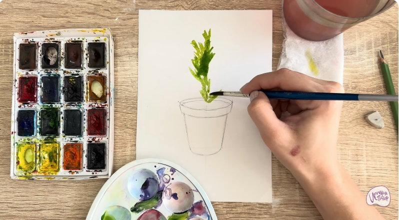 Рисуем Криптомерия японская