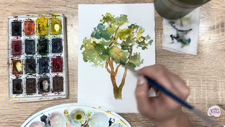 Рисуем Бархат амурский