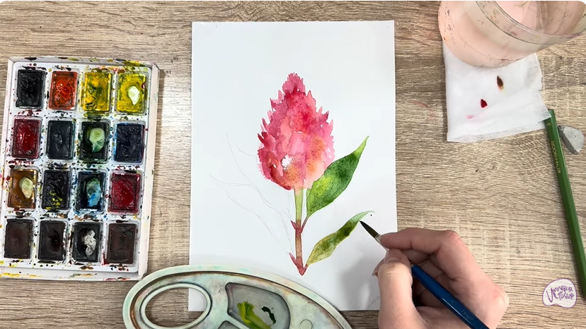 Рисуем Целозия