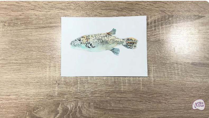 Рисуем Аротрон звёздчатый