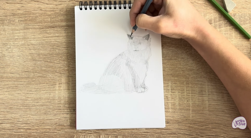 Рисуем Кошка породы Рэгдолл