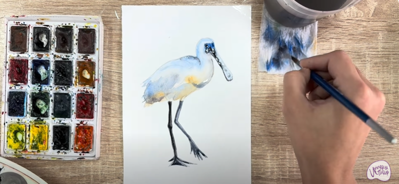 Рисуем Колпица Рисуем Колпица