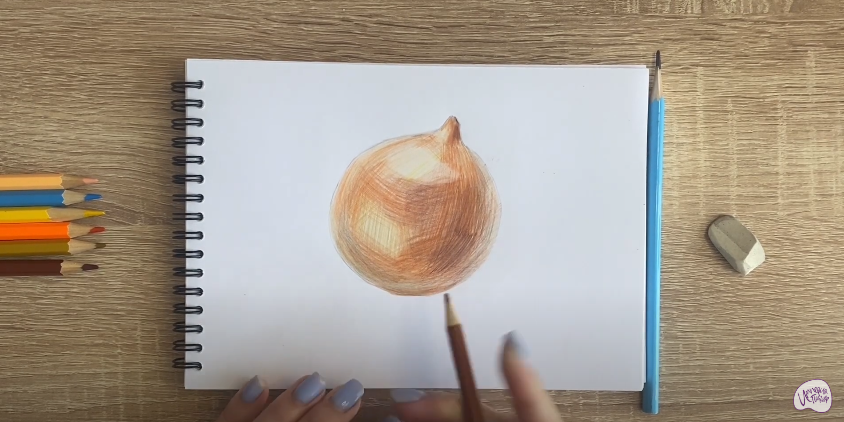 Рисуем Луковица