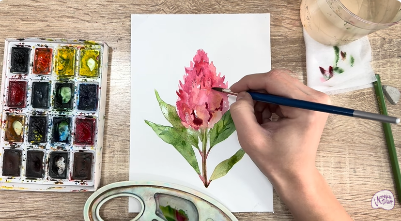 Рисуем Целозия