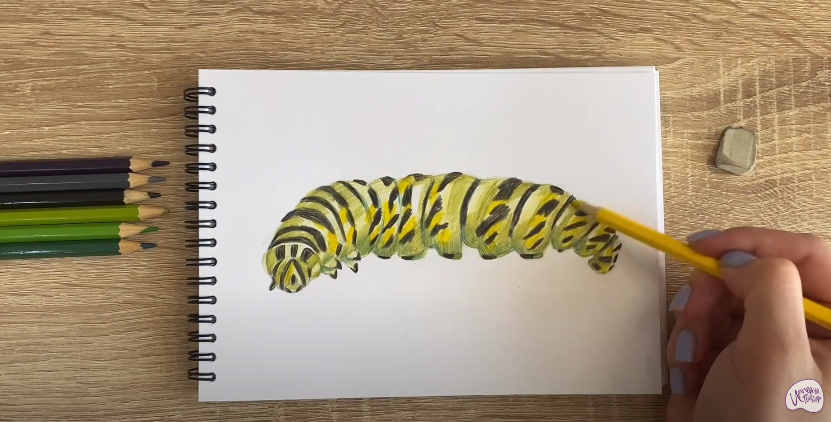 Рисуем Гусеница