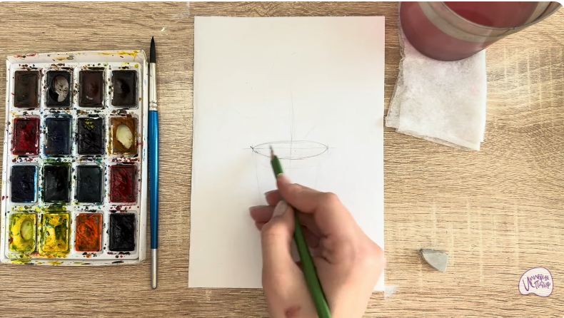 Рисуем Криптомерия японская