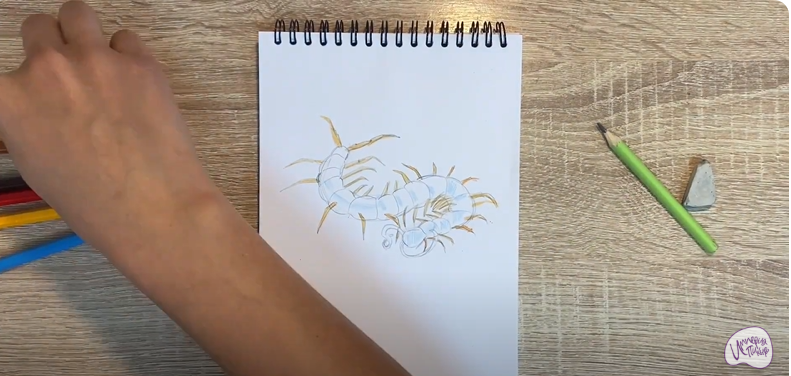 Рисуем Сороконожка