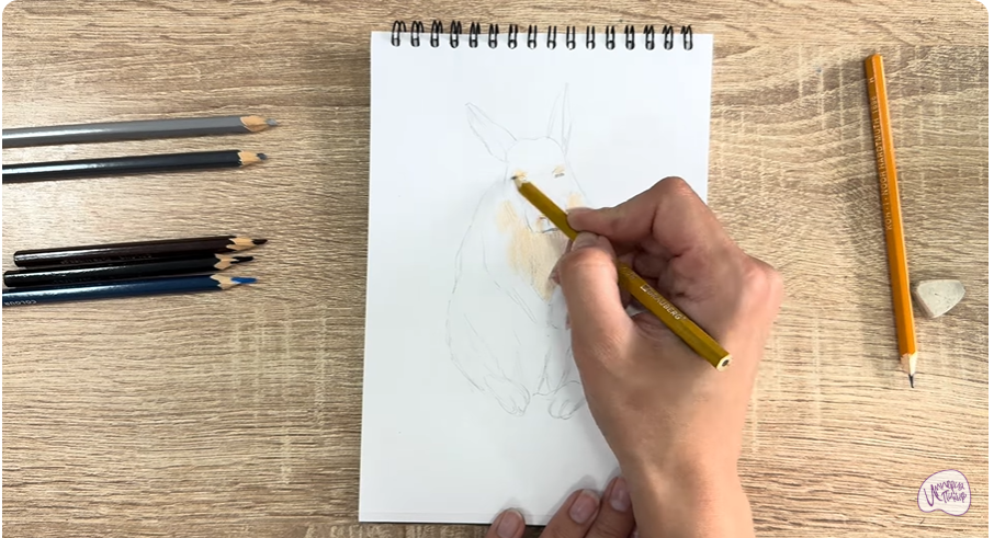 Рисуем Горная вискаша