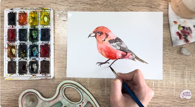 Рисуем Клест - еловик