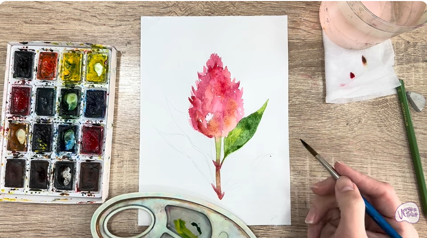 Рисуем Целозия