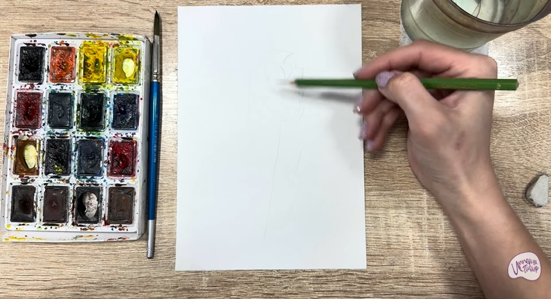 Рисуем Мирикария лисохвостая