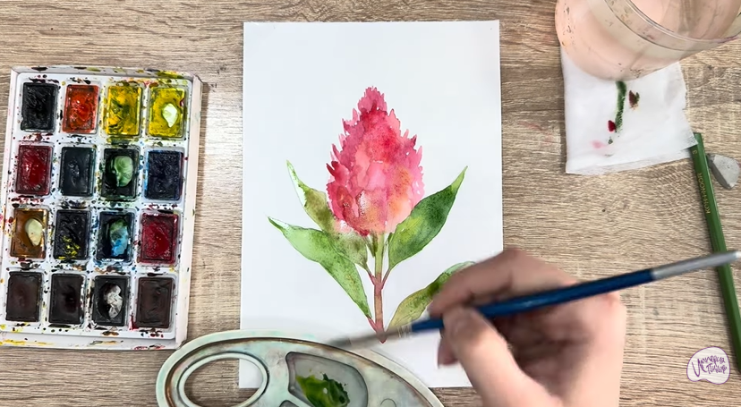 Рисуем Целозия