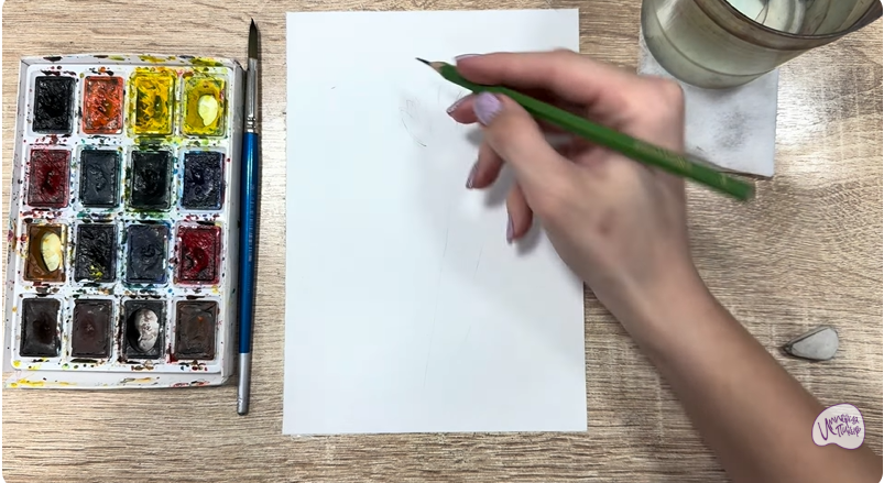 Рисуем Мирикария лисохвостая