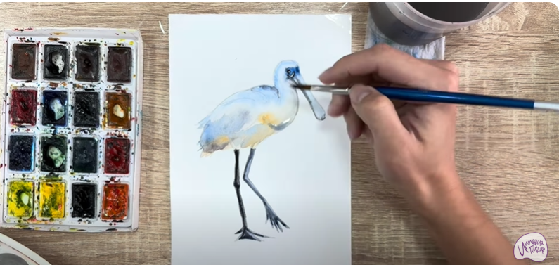 Рисуем Колпица Рисуем Колпица