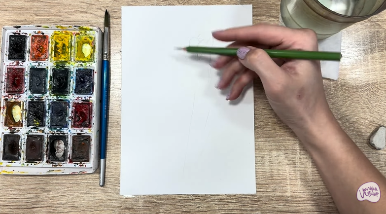 Рисуем Мирикария лисохвостая