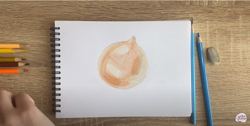 Рисуем Луковица