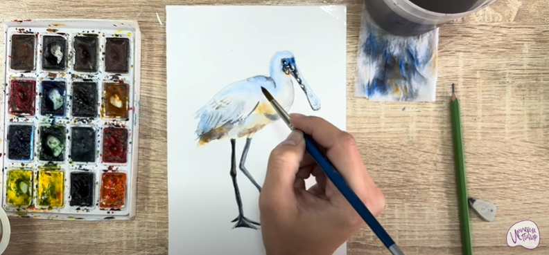 Рисуем Колпица Рисуем Колпица