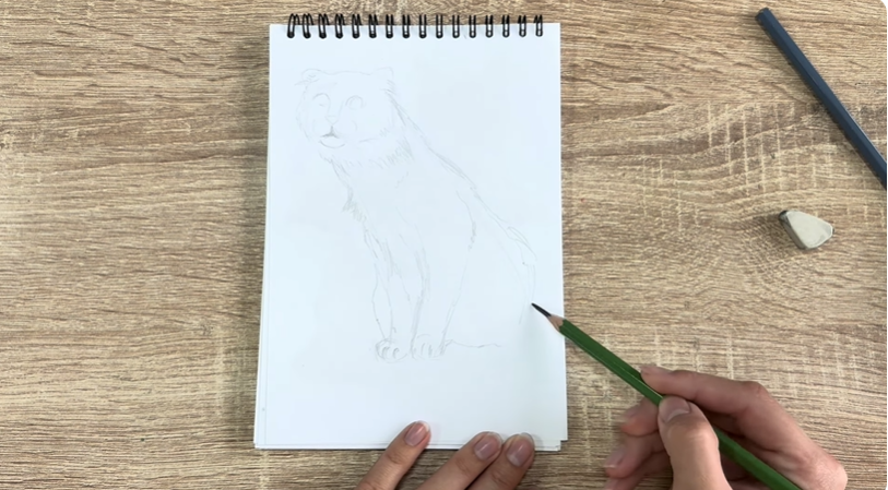 Рисуем Американский кёрл Рисуем Американский кёрл