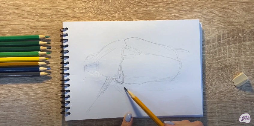 Рисуем Жук скарабей
