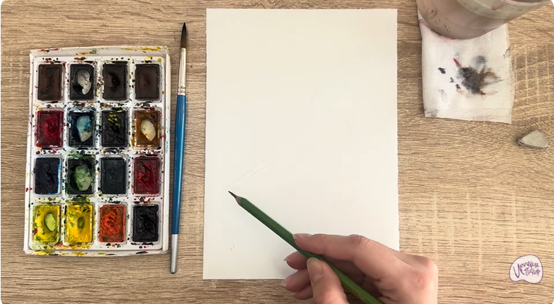 Рисуем Обыкновенная чечётка