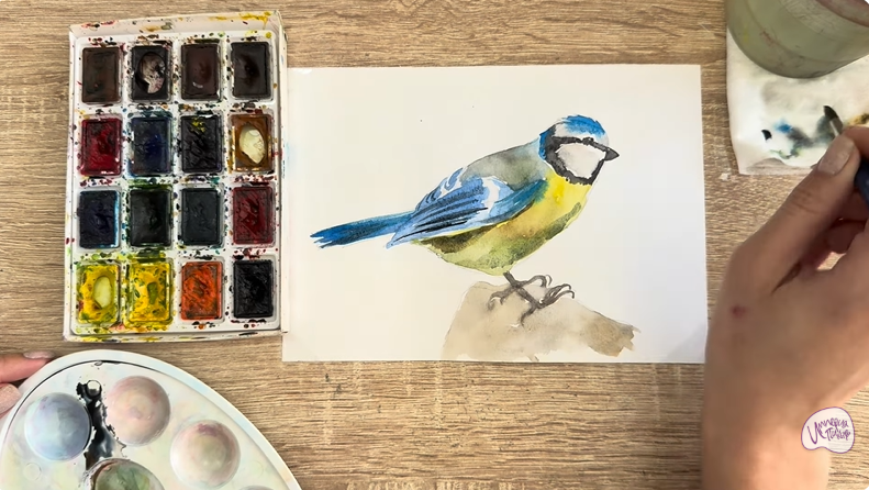 Рисуем Обыкновенная лазоревка