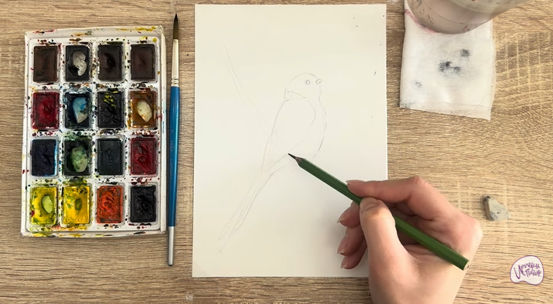 Рисуем Длиннохвостая синица