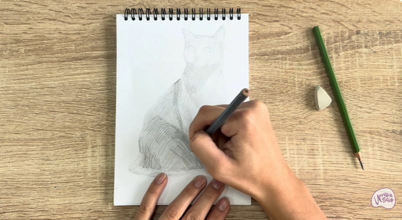 Рисуем Бурманский кот Рисуем Бурманский кот