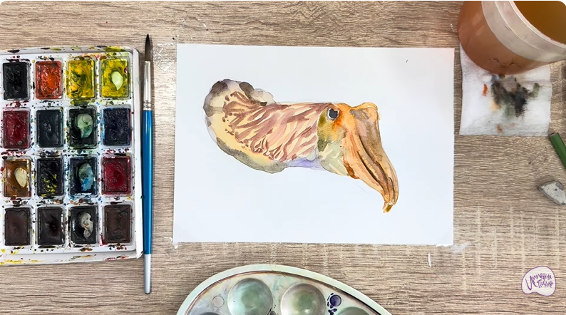 Рисуем Каракатица