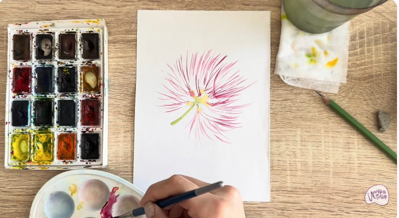 Рисуем Альбиция