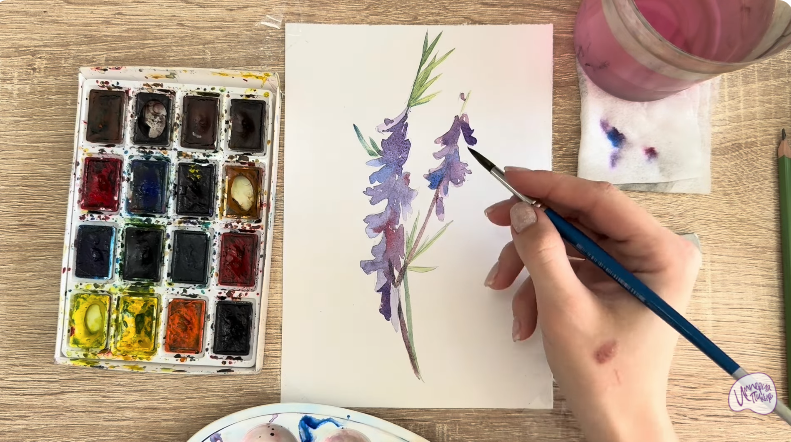 Рисуем Мышиный горошек