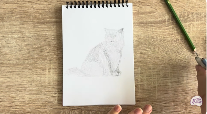 Рисуем Кошка породы Рэгдолл