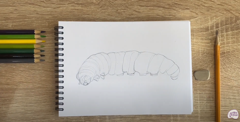 Рисуем Гусеница