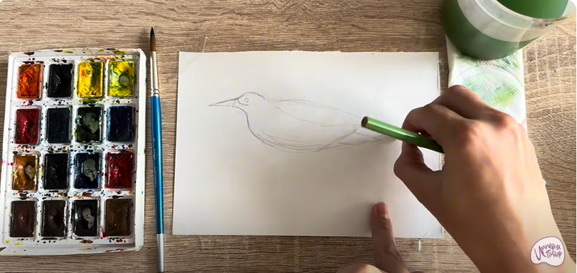 Рисуем Выпь Рисуем Выпь