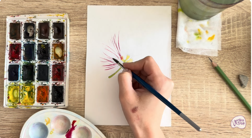 Рисуем Альбиция