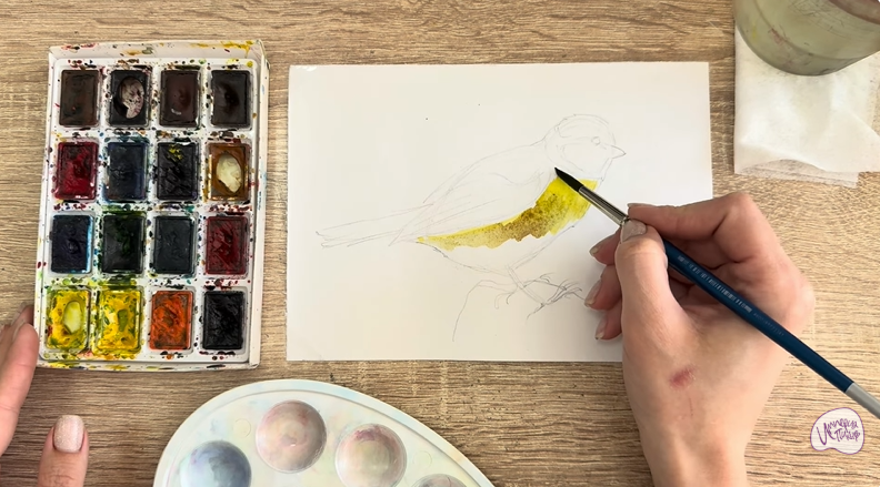 Рисуем Обыкновенная лазоревка