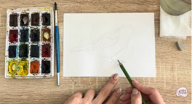 Рисуем Обыкновенная лазоревка